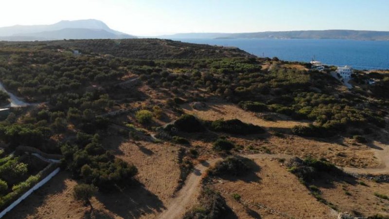 Plaka bei Chania Kreta, Plaka: Erstklassiges Strandgrundstück mit Panoramablick zu verkaufen Grundstück kaufen